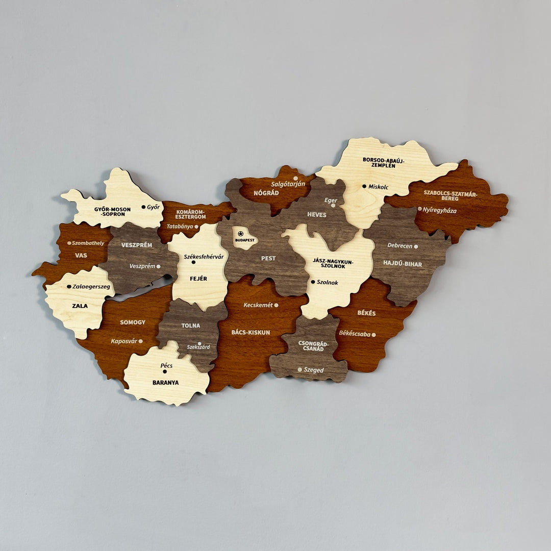 Wooden Hungary wall map in brown and cream county layers, angled front view
