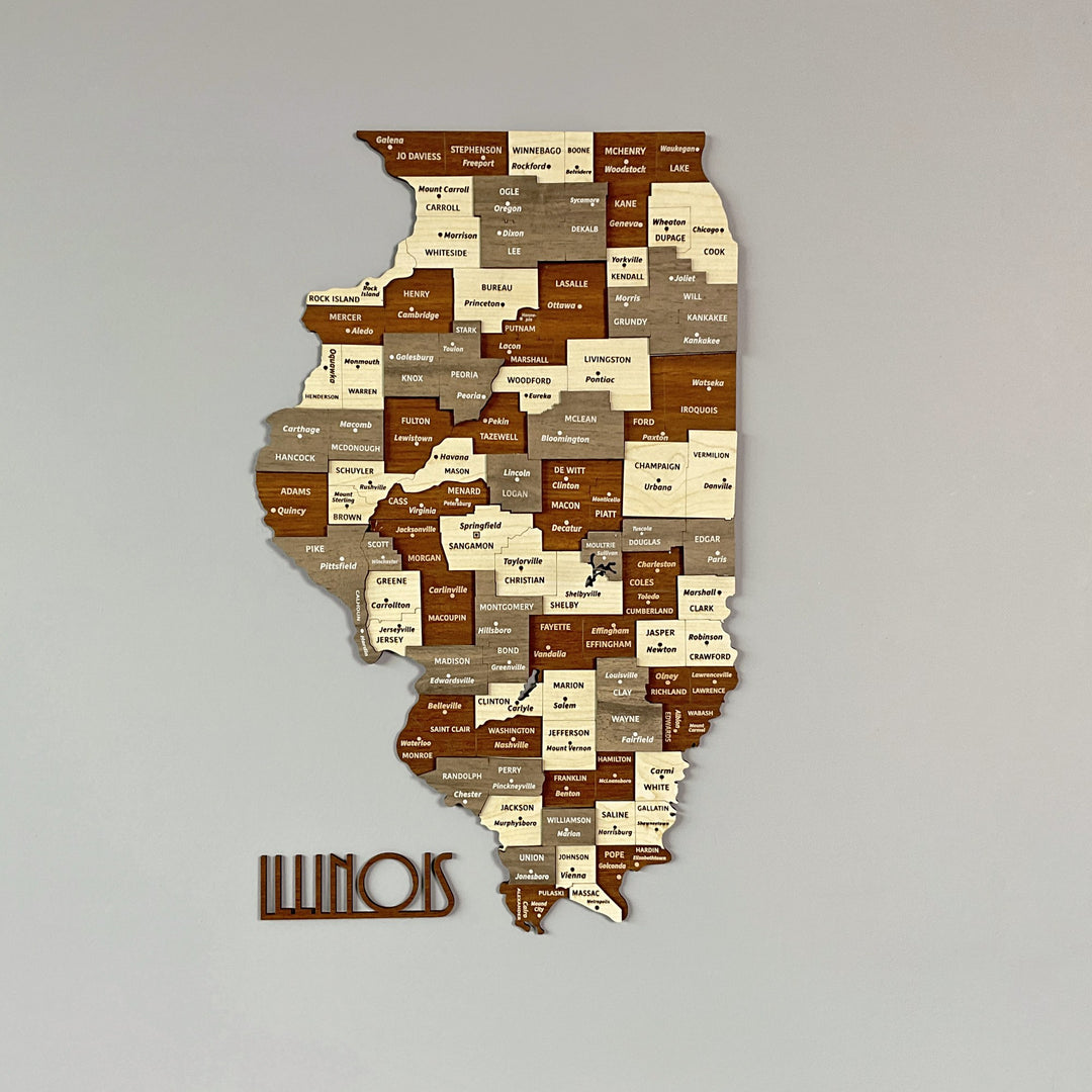 Multicolor 3D wooden Illinois county map with the state name cut-out below, front view on a gray wall