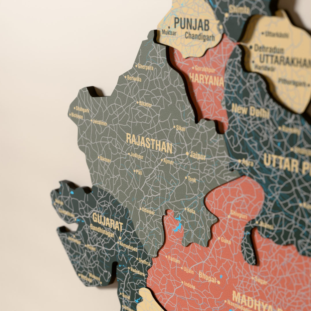 Close-up of the Sage India wooden wall map with layered regions and printed names