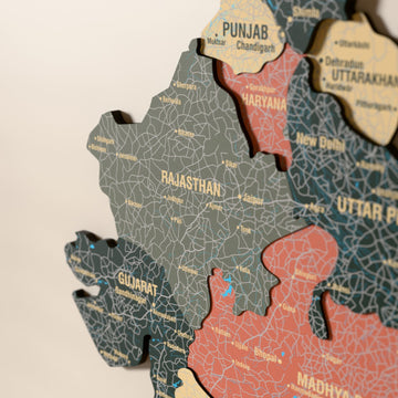 Close-up of the Sage India wooden wall map with layered regions and printed names