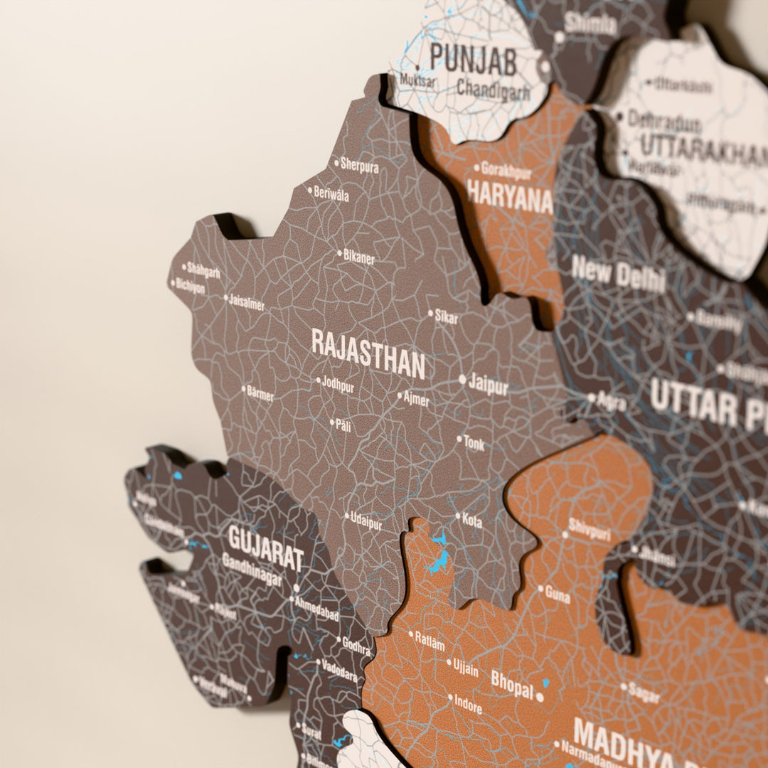 Close-up of the Soil India wooden wall map with layered regions and printed names