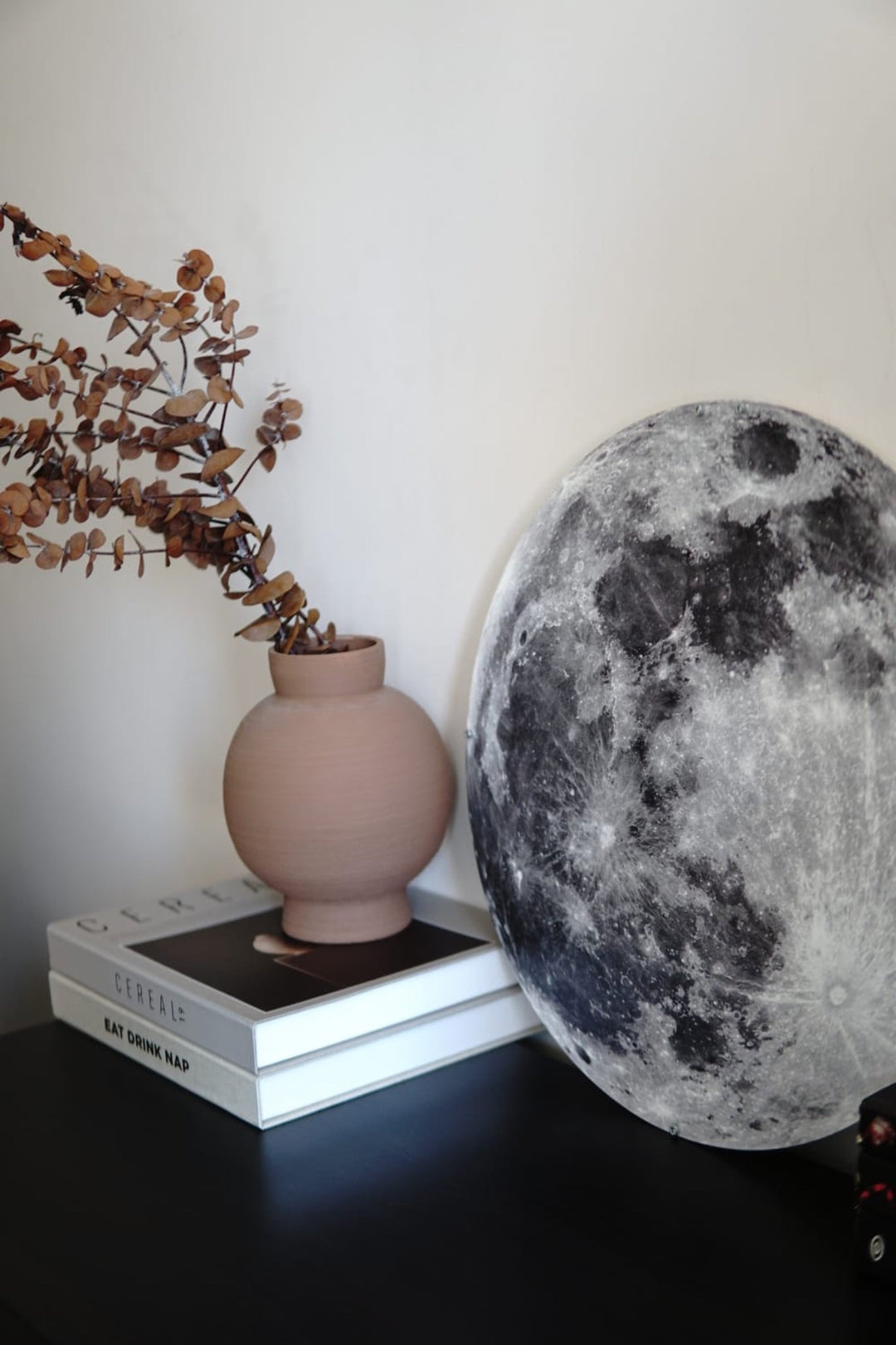 The Moon - UV Printed Metal Moon Wall Art | View from Space in a customer's home