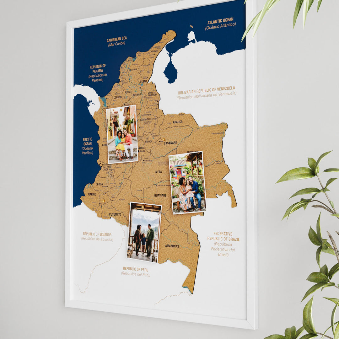 Framed Colombia Cork Map Wall Decor
