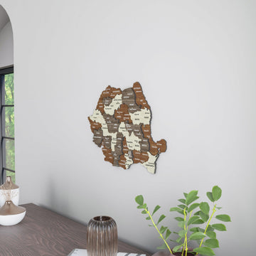 Romania wooden wall map beside a window arch, with a green plant and bowl on the desk below