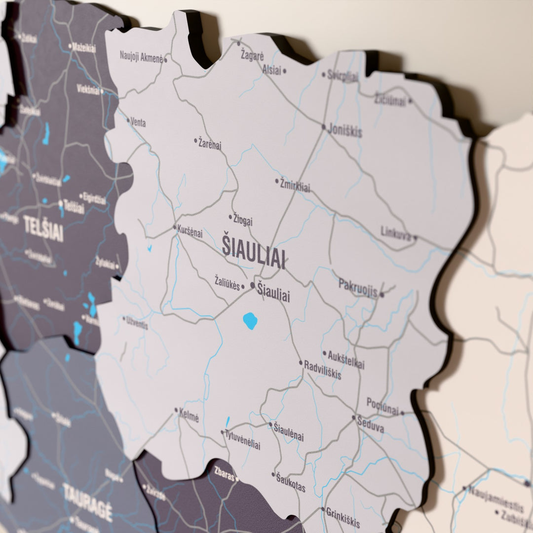 Close-up of the Nimbus Lithuania wooden wall map with layered regions and printed names