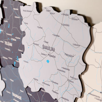 Close-up of the Nimbus Lithuania wooden wall map with layered regions and printed names