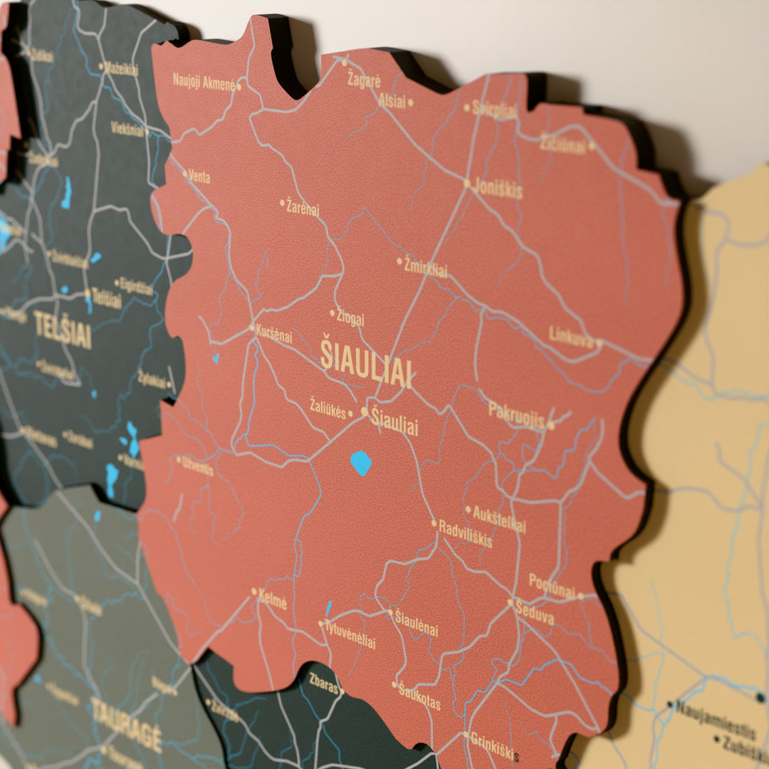 Close-up of the Sage Lithuania wooden wall map with layered regions and printed names