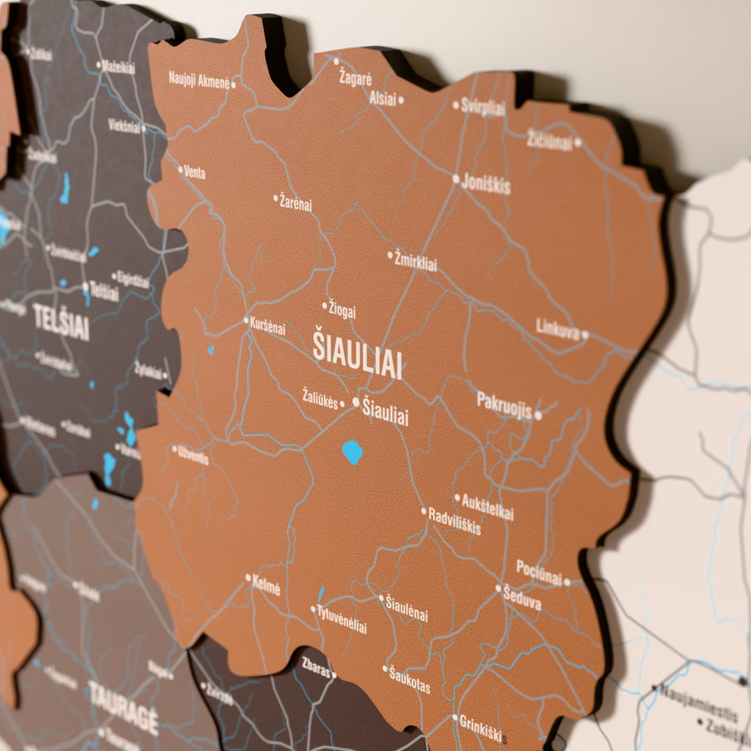 Close-up of the Soil Lithuania wooden wall map with layered regions and printed names