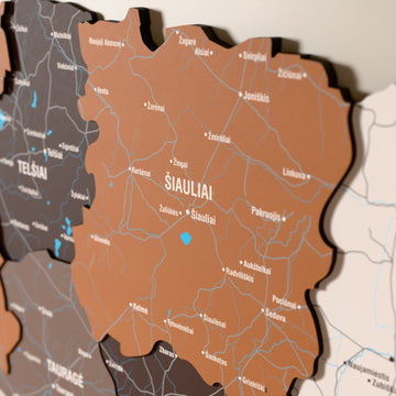Close-up of the Soil Lithuania wooden wall map with layered regions and printed names
