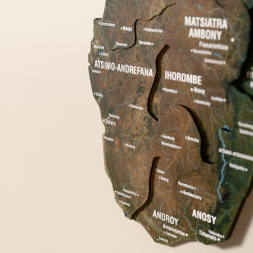 Close-up of the Satellite Madagascar wooden wall map with layered regions and printed names