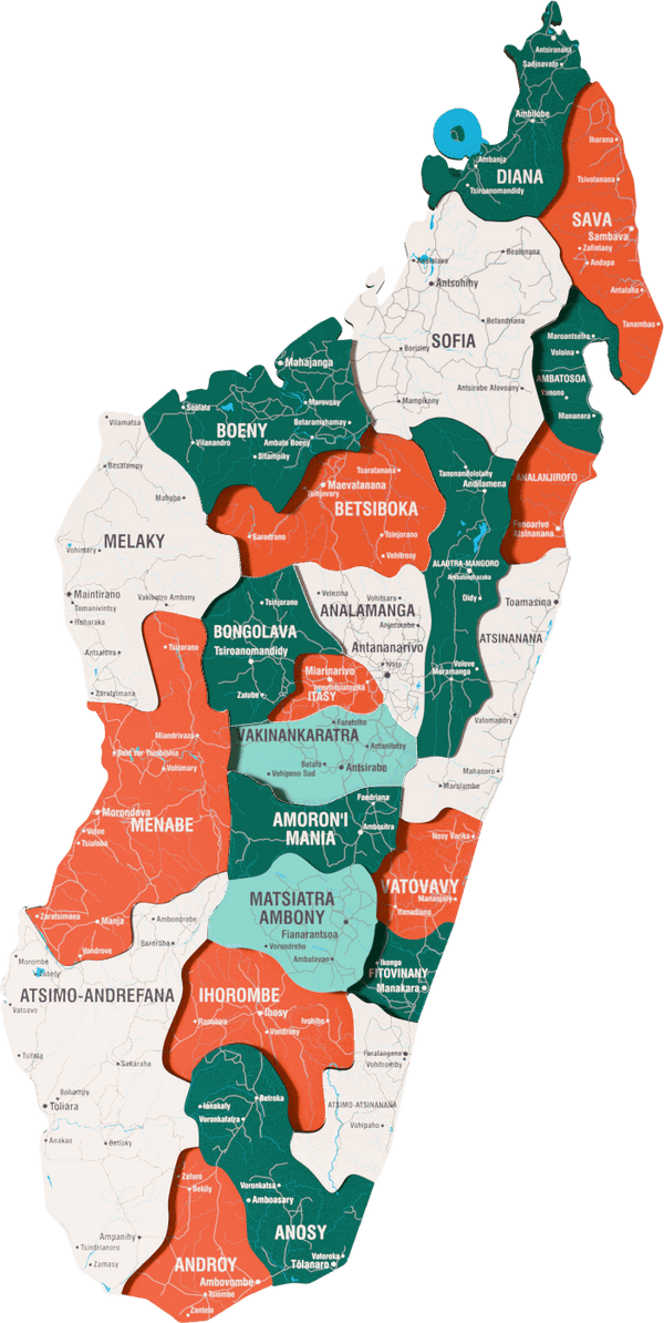 Madagascar Wooden Wall Map - 3D UV Printed Wall Art &mdash; size  shown to scale on a 4.2 metre wall
