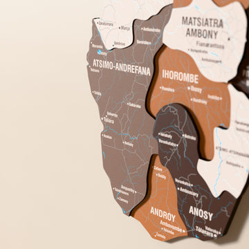Close-up of the Soil Madagascar wooden wall map with layered regions and printed names