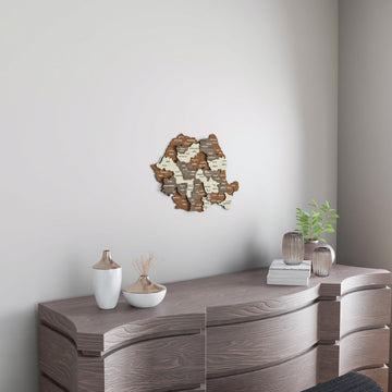 Small Romania wooden wall map above a gray wavy-front dresser with a plant