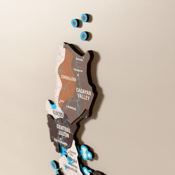 Close-up of the Soil Philippines wooden wall map with layered regions and printed names