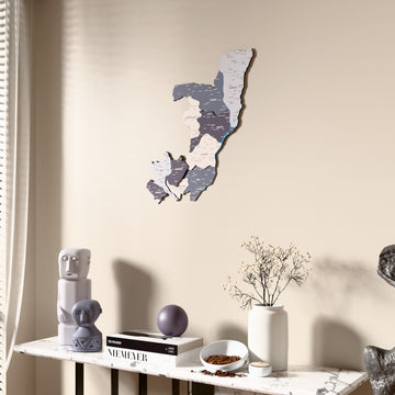Nimbus Republic of the Congo wooden wall map beside a sheer curtain, angled view