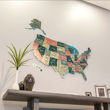 Sage metal USA wall map seen from a low angle with a plant on the console below