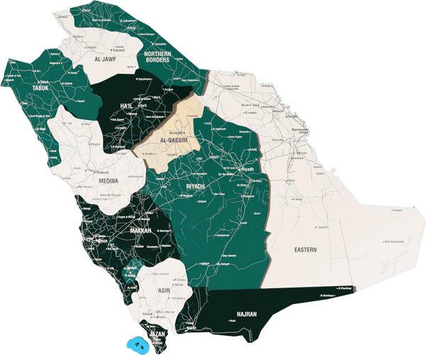 Saudi Arabia Wooden Wall Map - 3D UV Printed Wall Art &mdash; size  shown to scale on a 4.2 metre wall