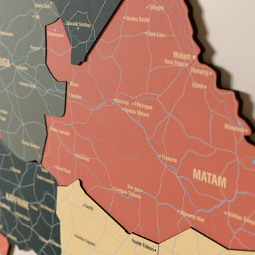 Close-up of the Sage Senegal wooden wall map with layered regions and printed names