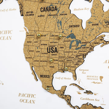 Framed Cork Push Pin World Map - Travel Tracker Wall Art