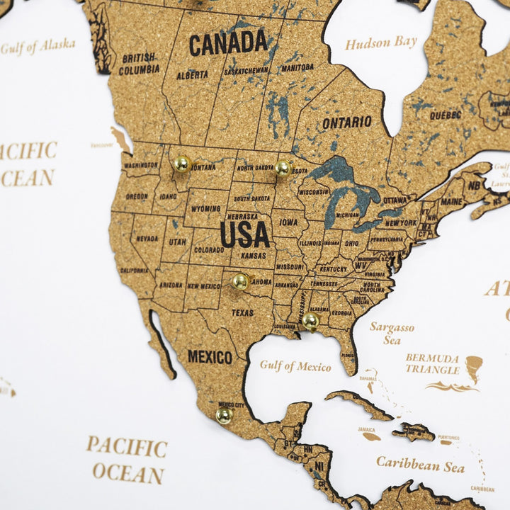 Framed Cork Push Pin World Map - Travel Tracker Wall Art