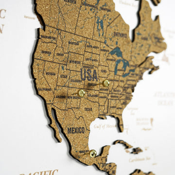 Side-angle close-up of the USA and Mexico on the cork world map with state outlines and gold push pins