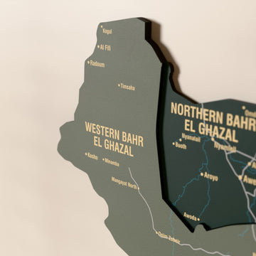 Close-up of the Sage South Sudan wooden wall map with layered regions and printed names