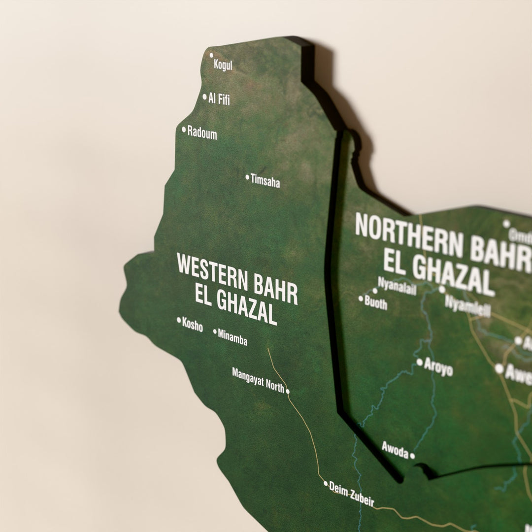 Close-up of the Satellite South Sudan wooden wall map with layered regions and printed names