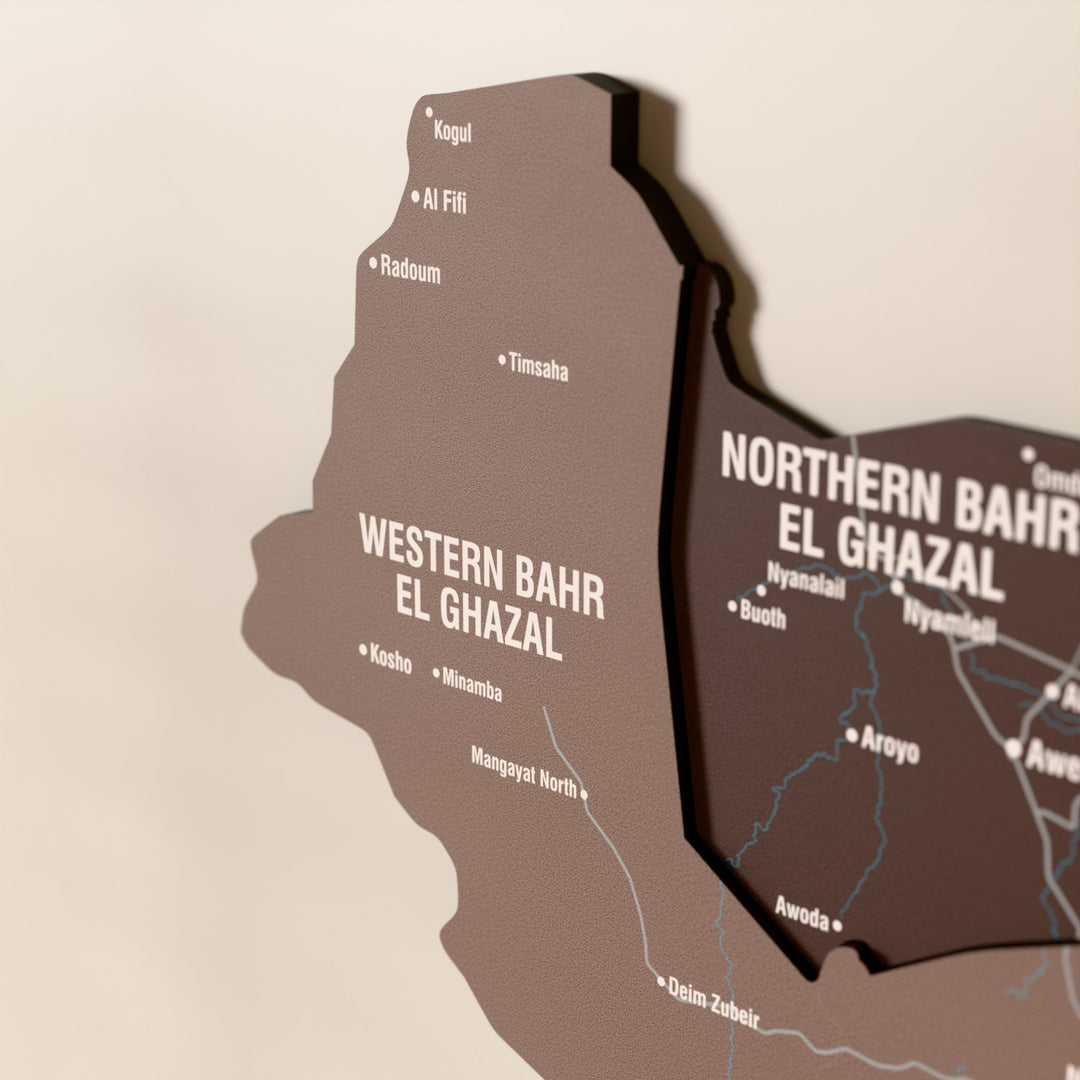Close-up of the Soil South Sudan wooden wall map with layered regions and printed names