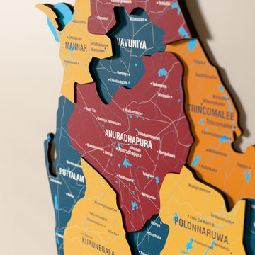 Close-up of the Flag colored Sri Lanka wooden wall map with layered regions and printed names