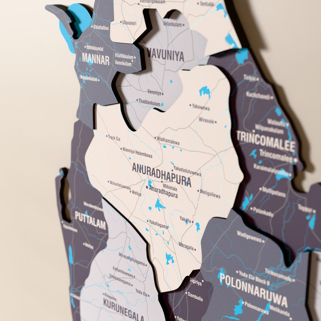 Close-up of the Nimbus Sri Lanka wooden wall map with layered regions and printed names