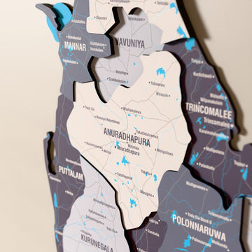 Close-up of the Nimbus Sri Lanka wooden wall map with layered regions and printed names