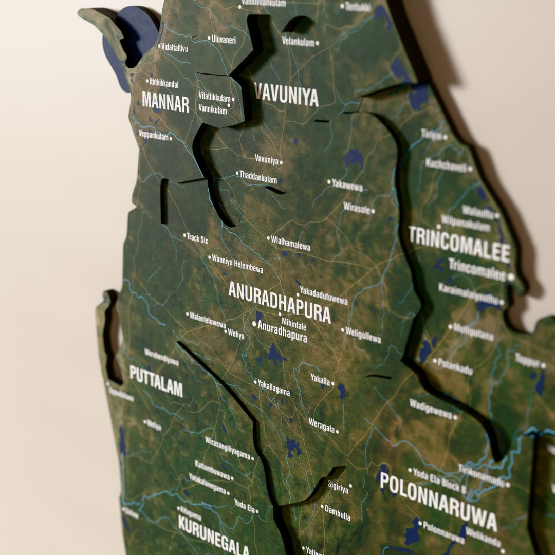 Close-up of the Satellite Sri Lanka wooden wall map with layered regions and printed names