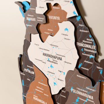 Close-up of the Soil Sri Lanka wooden wall map with layered regions and printed names