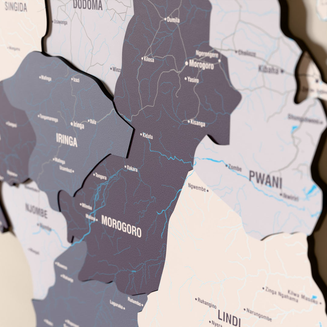 Close-up of the Nimbus Tanzania wooden wall map with layered regions and printed names