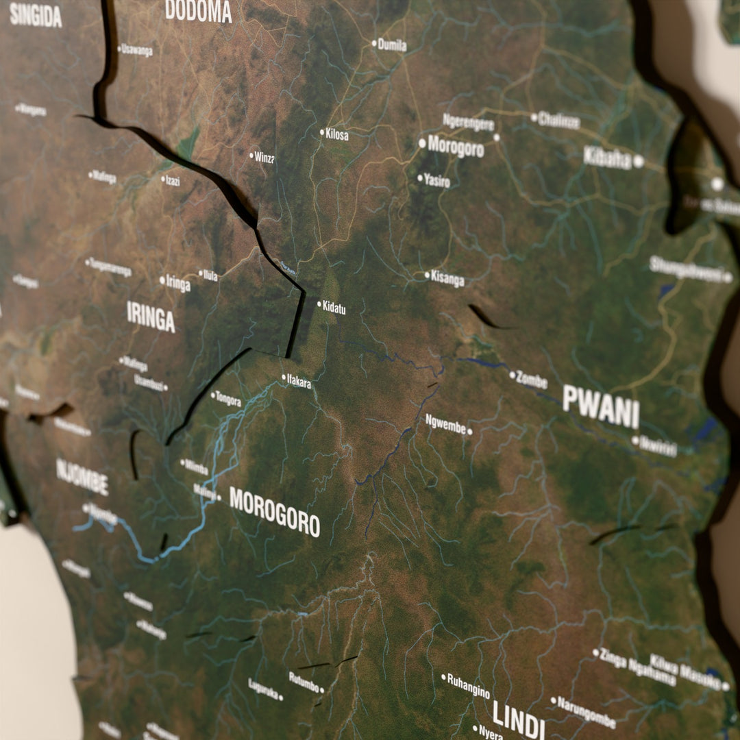 Close-up of the Satellite Tanzania wooden wall map with layered regions and printed names