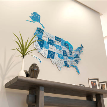 Navy metal USA wall map seen from a low angle with a plant on the console below