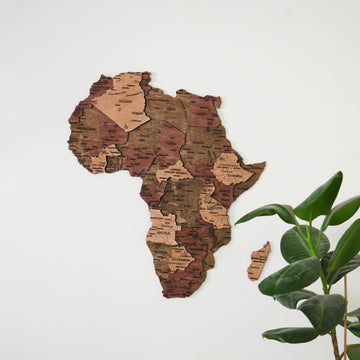 3D wooden Africa map with country names in layered brown and tan wood, beside a large plant