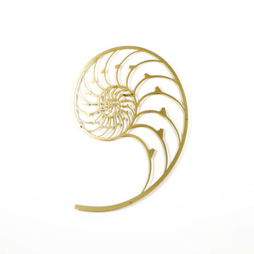 Nautilus-and-The-Golden-Ratio-Fibonacci-Spiral-Unique-Modern-Metal-Wall-Art-Metal-Wall-Decor-Mountain-Series-wall-art-Metal-Home-Decor-colorfullworlds